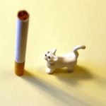 Fumo passivo e animali domestici: i rischi