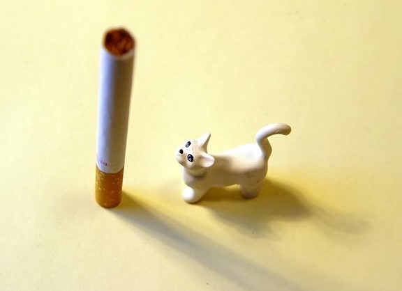 effetti fumo passivo sugli animali domestici