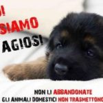 campagna cane covid-19